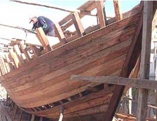 Pilu, Perluasan HTI Hambat Usaha Kayu Kapal di Inhil