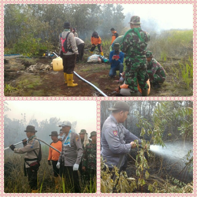 Polsek Dumai Barat Berhasil Padamkan Kebakaran Lahan di Dumai