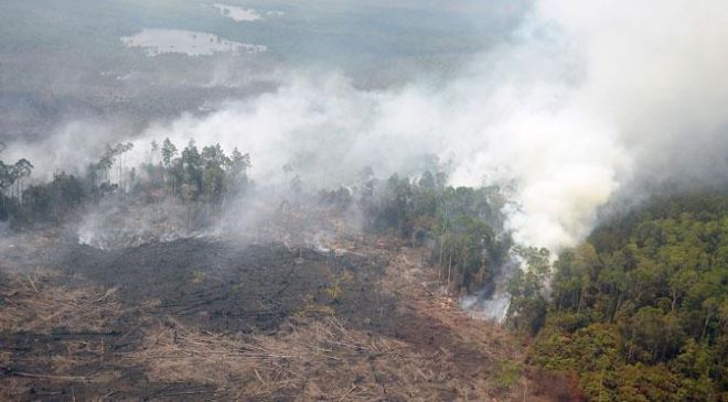 Riau Siaga Darurat Karhutla hingga Oktober