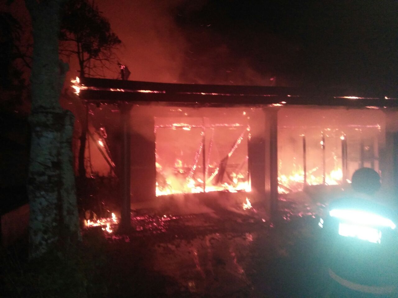 Sijago Merah Mengamuk di Jalan Tanjung Harapan Kelurahan Tembilahan