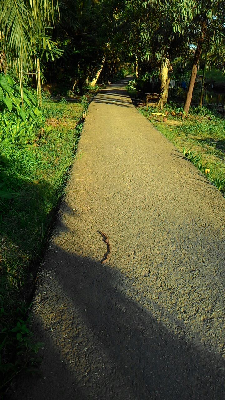 Terkesan Hanya Kejar Kuantitas, Pemkab Inhil Ditujukkan Bangunan Jalan Desa yang Berkualitas