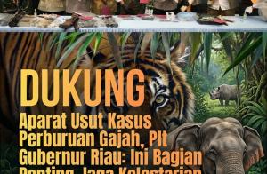 Dukung Aparat Usut Kasus Perburuan Gajah, Plt Gubernur Riau: Ini Bagian Penting Jaga Kelestarian