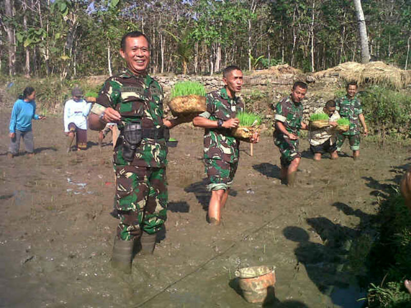 Tingkat Produksi, TNI Dampingi Petani Rambah Tanam Pajale