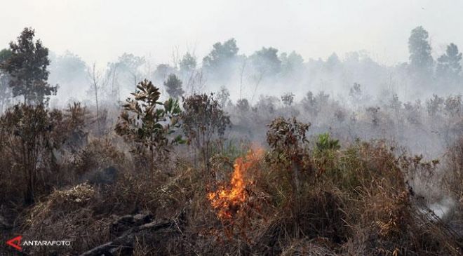 Wali Kota Ikut Padamkan Api dengan Wajah Geram