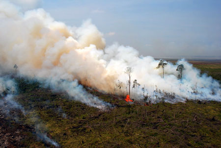 Waspada, Titik Panas Kembali Bermunculan Di Riau