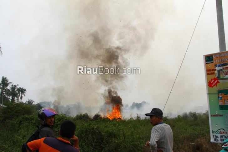Kebakaran lahan di pekanbaru