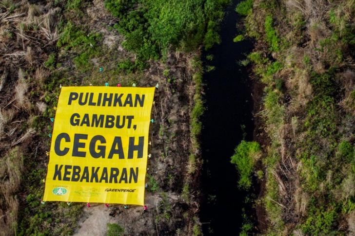 Rohul Tetapkan KLB DBD dan Siaga Karlahut