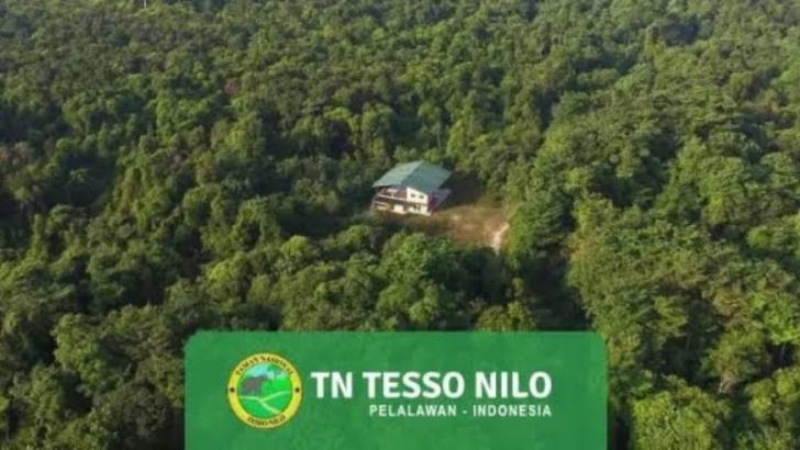 Pemerhati: Tesso Nilo Cermin Retak Kebijakan Hutan Kita
