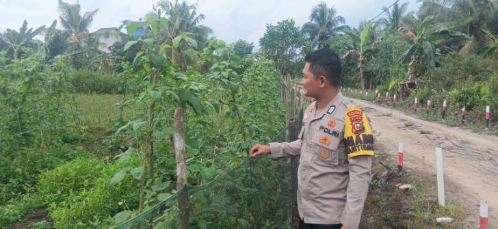 Dukung Ketahanan Pangan, Bhabinkamtibmas Polsek Teluk Meranti Cek Lahan Milik Warga