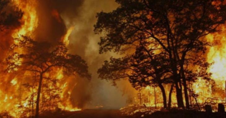 Lima Desa Ikuti Program Desa Bebas Api di Pelalawan