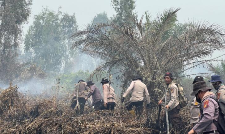 Water Bombing dan Alat Berat Dikerahkan untuk Pemadaman Api Karhutla di Siak