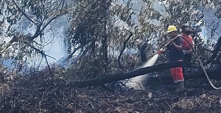Antisipasi Api, BPBD dan Damkar Siaga di Lahan yang Pernah Terbakar