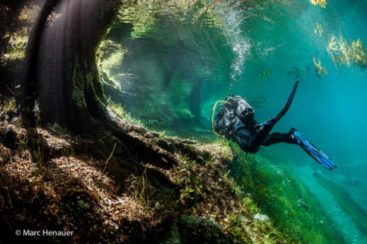 Untuk Menyusuri Pemandangan Hutan ini Harus Menggunakan Alat Selam