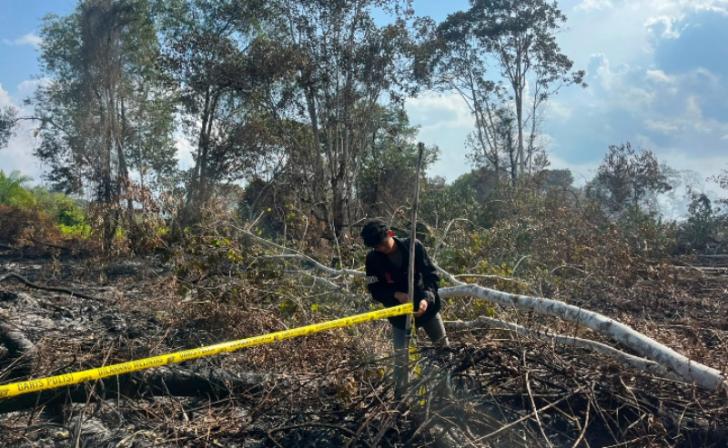 Buka Lahan Sawit dengan Membakar Kawasan Hutan di Pelalawan, Polisi Tetapkan Satu Tersangka