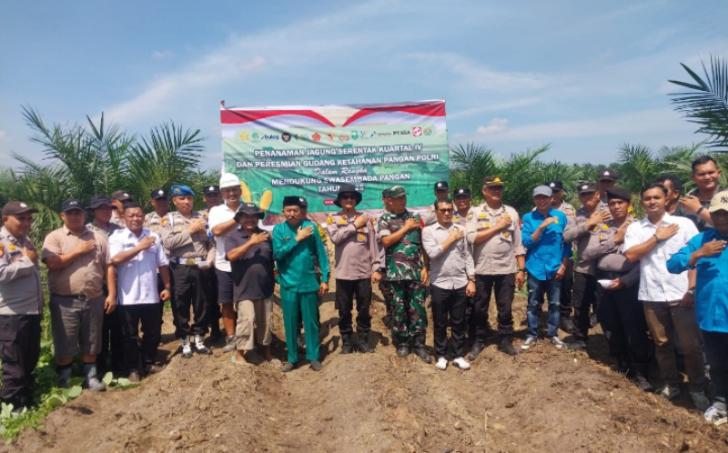 Kapolsek Kandis Bersama Upika Tanam Jagung 10 Hektar, Dukung Program Ketahanan Pangan Nasional