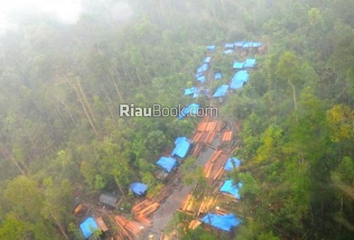 Hutan Riau Teracam Binasa, KLHK Tangkap 4 Alat Berat di Taman Nasional