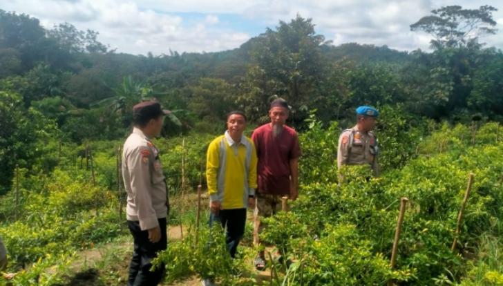 Polsek Pangkalan Kuras Tinjau Ketahanan Pangan di Desa Kemang