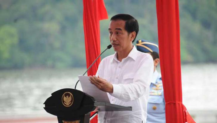 Jokowi 'Menggusur' Konsesi Perusahaan Demi Lahan Gambut
