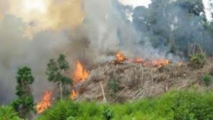 Memasuki Musim Kemarau, Syamsuar: Masyarakat Jaga Lingkungan