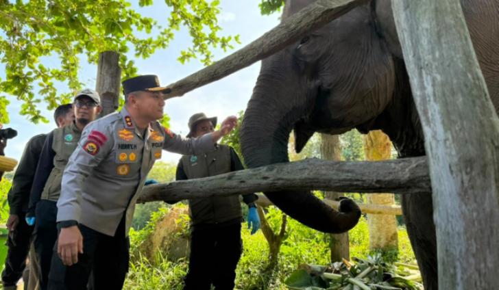 Harapan Baru Konservasi, Kapolda Riau Namai Anak Gajah Tesso Nilo