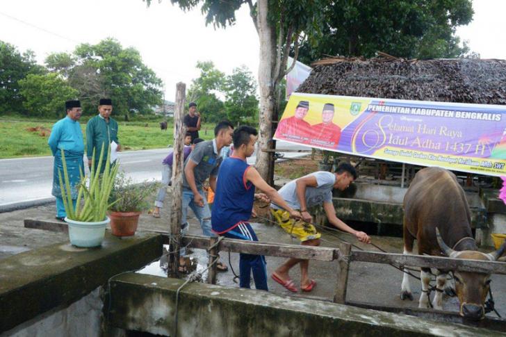 Arianto Saksikan Proses Penyembelihan Hewan Kurban di Masjid Al-Mubarok