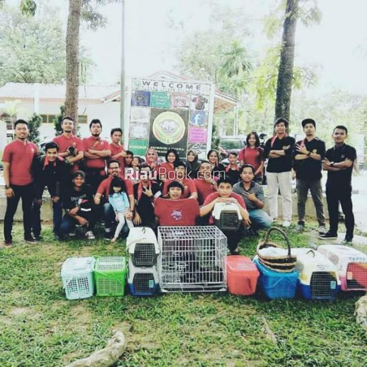 Musang Jadi Sahabat Manusia di CFD Pekanbaru