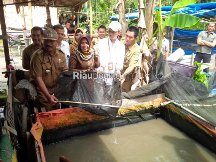 Kadis Susi Ikut Panen Ikan Lele di Sabak Auh Siak, Ini Pesannya