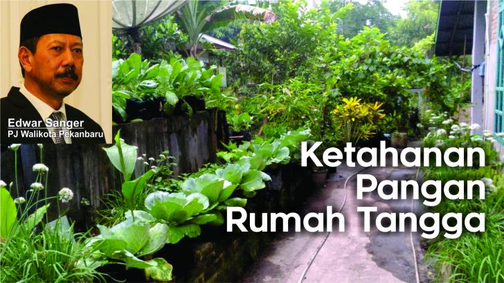 Pekanbaru Menuju Ketahanan Pangan Rumah Tangga