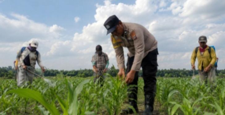Kapolsek Kandis Bekali Bhabinkamtibmas Terkait Pendampingan Petani Binaan