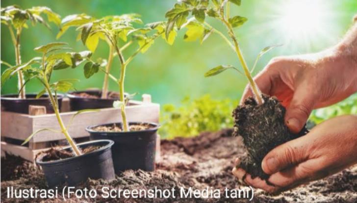 Sambang Warga, Personel Bhabinkamtibmas Tinjau Pekarangan Pangan Bergizi