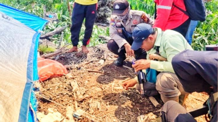 Konflik Harimau dan Manusia Terjadi di Desa Pulau Muda, Pelalawan