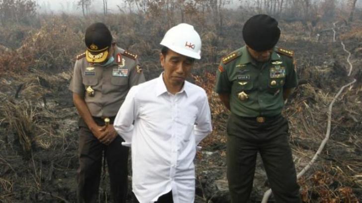 Bengkalis Berharap Jokowi juga Blusukan di Lokasi Kebakaran Daerah ini