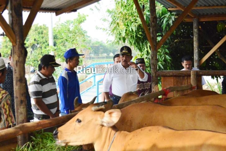 Mau! Sudah Kaya di Akhirat Masuk Surga? Terapkan Program ini