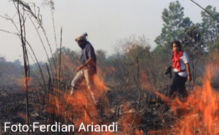Kepala BPBD Pastikan Kebakaran di Wilayah Pesisir Riau Dapat Dipadamkan