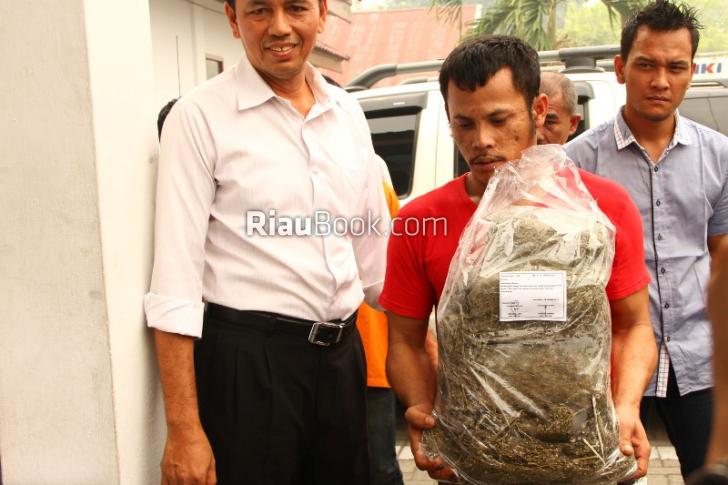 Tersangka Pengedar Bawa Ganja 7,1 Kg ke Markas Polda Riau, Ini foto-fotonya