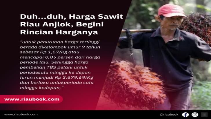 Duh...duh, Harga Sawit Riau Anjlok, Begini Rincian Harganya