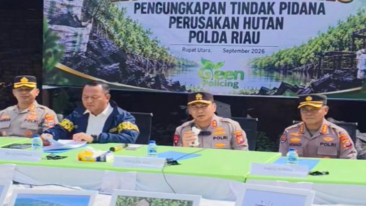 Dari Pohon Mangrove Jadi Arang, Polda Riau Usut Pidana Perusakan Hutan di Rupat Utara
