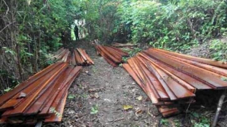 Pompong Penarik Puluhan Ton Kayu Illegal Logging Ditangkap Polisi