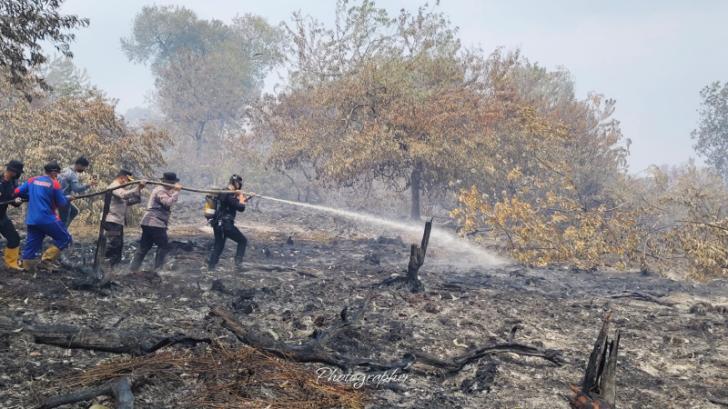 Pemadaman dan Pendinginan Karhutla di Kerumutan Terus Dilakukan, Titik Api Berkurang