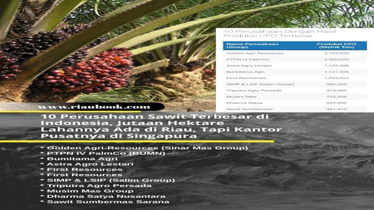 Ini Adalah 10 Perusahaan Sawit Terbesar di Indonesia, Jutaan Hektare Lahannya Ada di Riau, Tapi Kantor Pusatnya di Singapura
