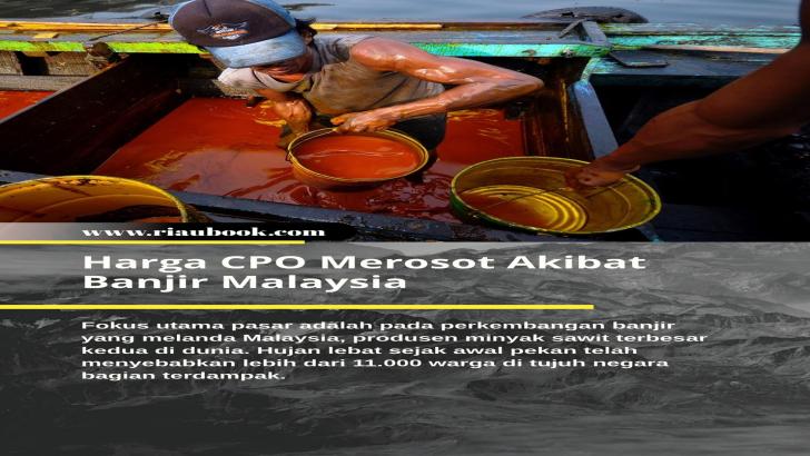 Harga CPO Merosot Akibat Banjir Malaysia