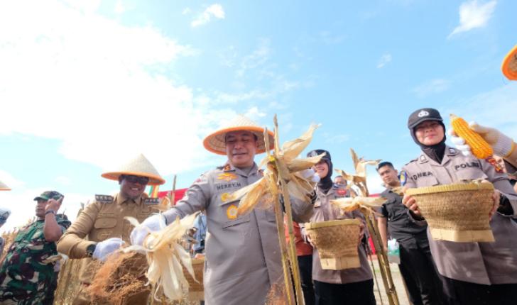 Bupati Pelalawan dan Kapolda Riau Panen 15 Ton Jagung