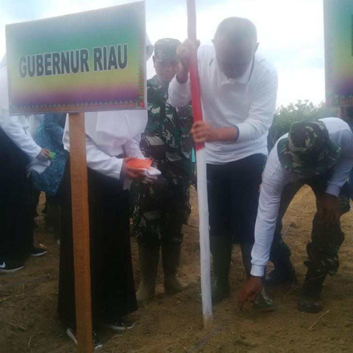 Gerakan Tanam Jagung 10 Ribu Hektare di Kampar, Gubri: Menuju Indonesia Swasembada Pangan