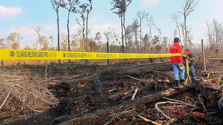 1 Lagi Perusahaan Ditetapkan Tersangka Pembakar Lahan