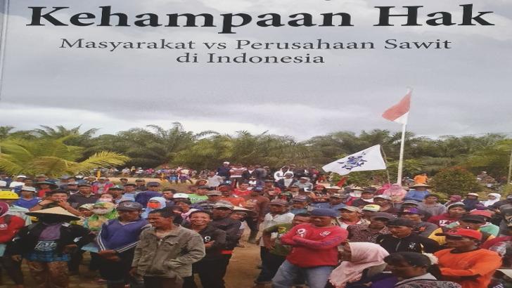 Kehampaan Hak: 600 Perusahaan Miliki 3,2 Juta Hektare Kebun Sawit Ilegal