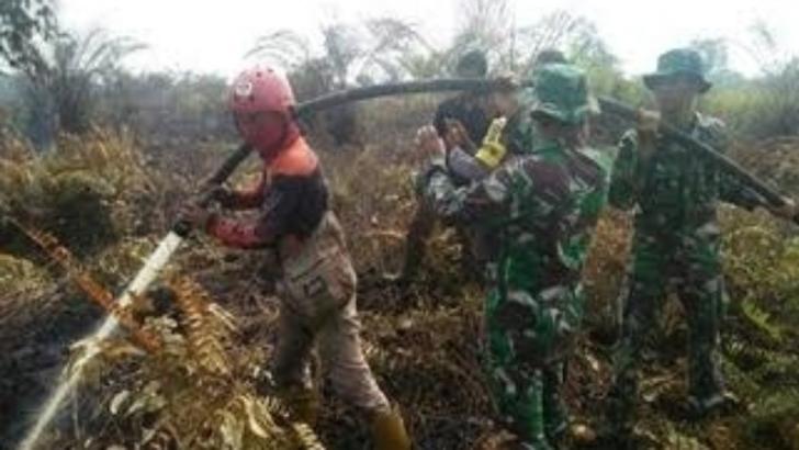 2023, Lebih 2 Ribu Hektare Lahan Riau Terbakar