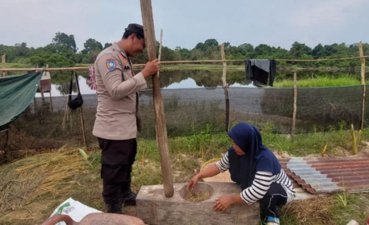 Ciptakan Keamanan, Personel Bhabinkamtibmas Membantu Masyarakat Menumbuk Padi