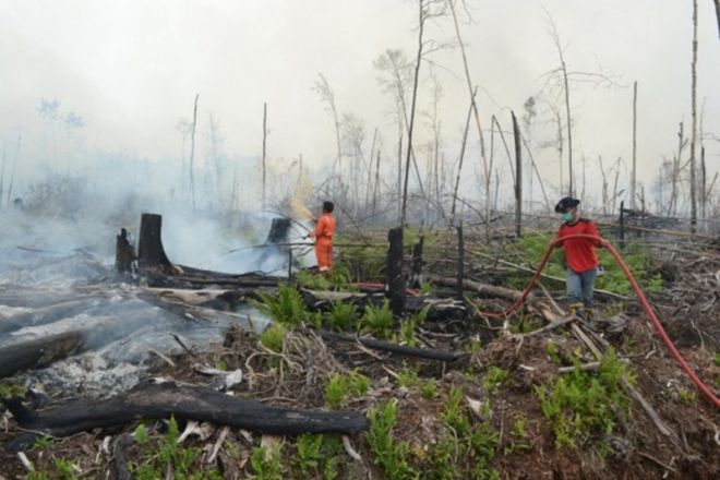 Astaga! Kebakaran Lahan Riau dan Sumatera Meluas