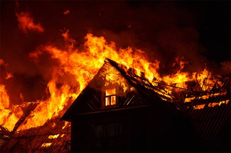 Gara-gara Monyet Puluhan Rumah Terbakar, Kerugian Miliaran