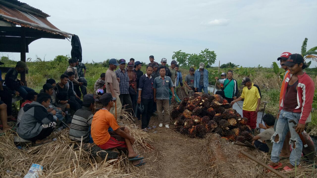 Gawat Masyarakat vs PT di Inhil, Pemerintah Harus Ambil Sikap